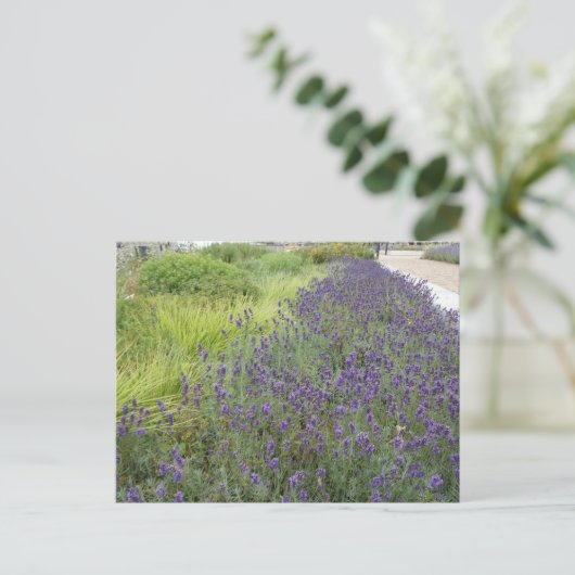 Lavendel Landschap DIY Briefkaart (Staand voorkant)