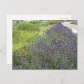 Lavendel Landschap DIY Briefkaart (Voorkant / Achterkant)