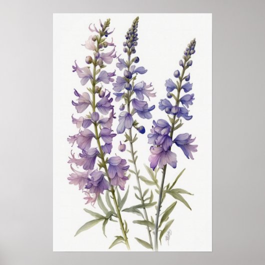 Lavendel Larkspur Flower Art Print Poster (Voorkant)