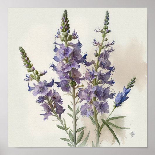 Lavendel Larkspur Flower Art Print Poster (Voorkant)