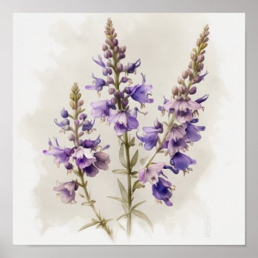 Lavendel Larkspur Flower Art Print Poster (Voorkant)