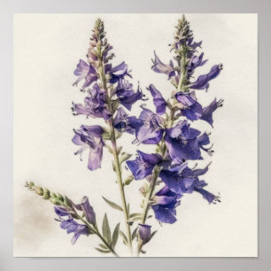 Lavendel Larkspur Flower Art Print Poster
