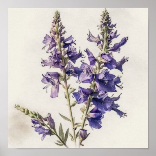 Lavendel Larkspur Flower Art Print Poster (Voorkant)