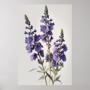 Lavendel Larkspur Flower Art Print Poster