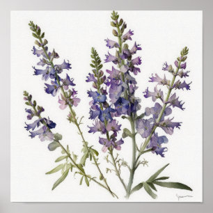 Lavendel Larkspur Flower Art Print Poster