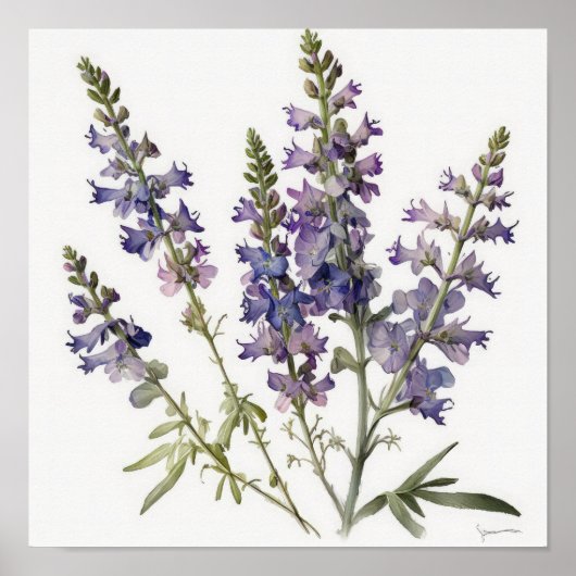 Lavendel Larkspur Flower Art Print Poster (Voorkant)
