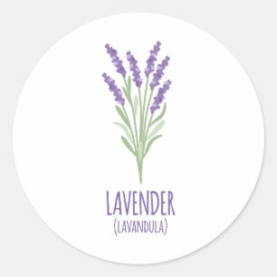 Lavendel Lavandula Ronde Sticker