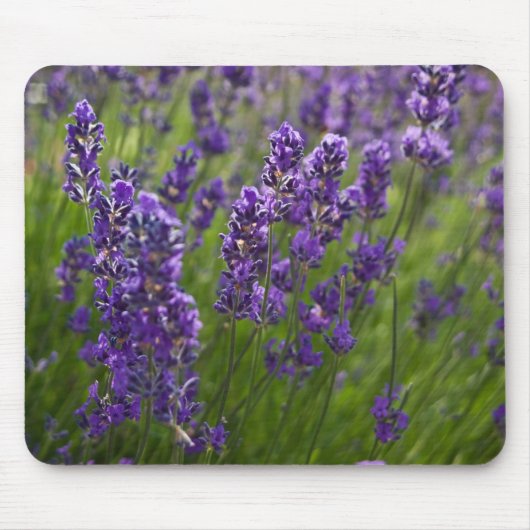 Lavendel | Lavendel Muismat (Voorkant)