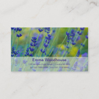 Lavendel | Lavendel Visitekaartje