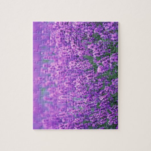 Lavendel Legpuzzel (Verticaal)