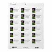 Lavendel, Liefde & Toewijding, Trouwetiket Etiket (Full Sheet)