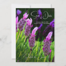 Lavendel, Liefde & Toewijding, Trouwkaart Save the