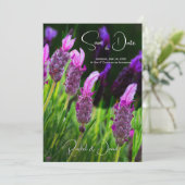 Lavendel, Liefde & Toewijding, Trouwkaart Save the Kaart (Staand voorkant)