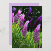Lavendel, Liefde & Toewijding, Trouwkaart Save the Kaart (Voorkant / Achterkant)