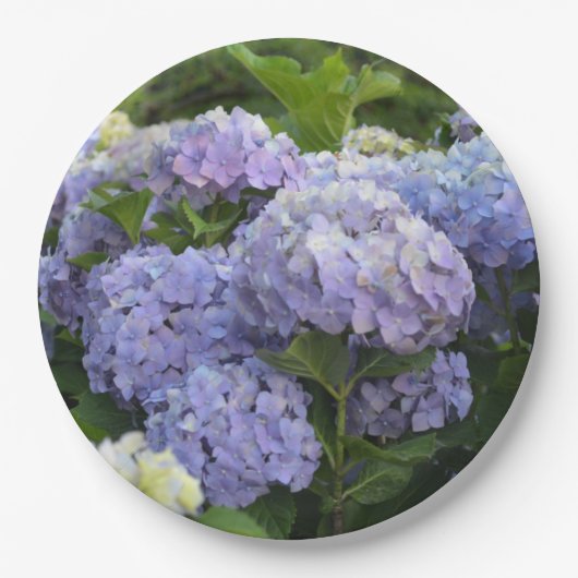 Lavendel & Lila Hortensia Hydrangea Bloemen Papieren Bordje (Voorkant)