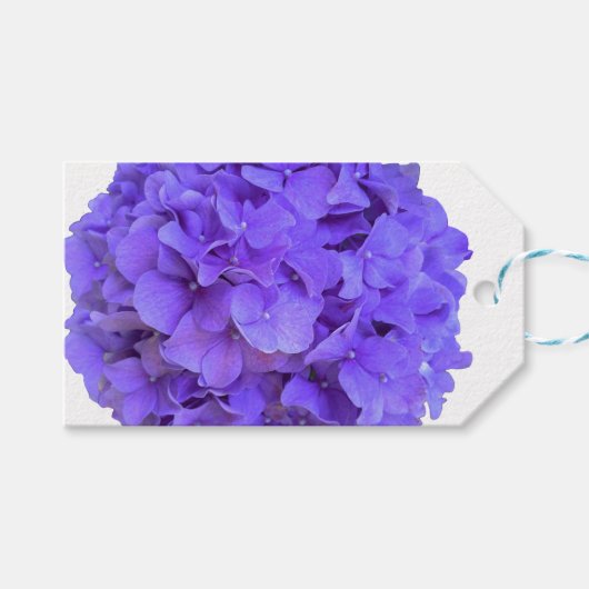 Lavendel lila paarse Hydrangea's paarse Bloemen Cadeaulabel (Voorkant (Horizontaal))