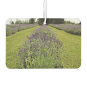 Lavendel Luchtverfrisser (Achterkant)