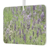 Lavendel Luchtverfrisser (Links)