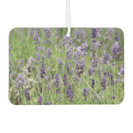 Lavendel Luchtverfrisser