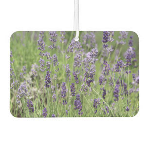 Lavendel Luchtverfrisser