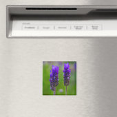 lavendel magneet (Insitu (Vaatwasser))