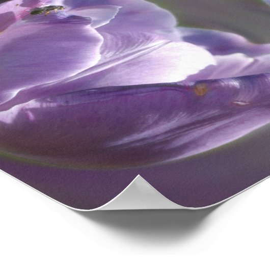 lavendel met kleine bijen Abstract Poster (Hoek)