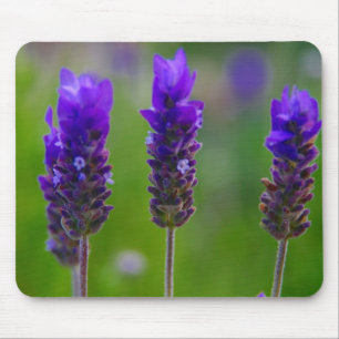 lavendel muismat
