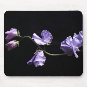 lavendel muismat