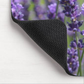 lavendel muismat (Hoek)