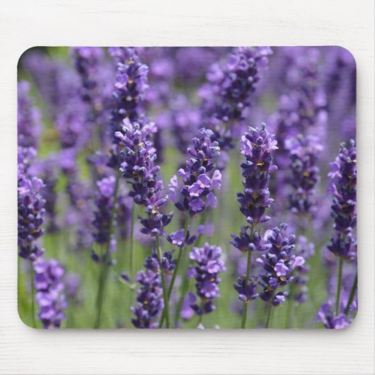 lavendel muismat (Voorkant)