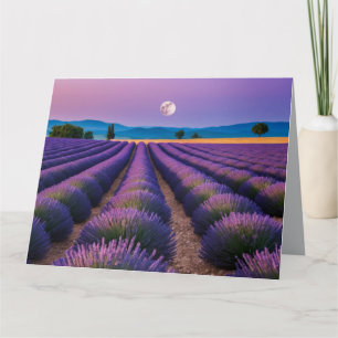 Lavendel Natuur Buiten Landschap Kalm Vredig Kaart
