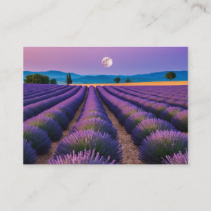 Lavendel Natuur Buiten Landschap Kalm Vredig Visitekaartje