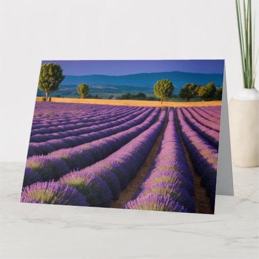 Lavendel Natuur Buitenlandschap Rustig Rustig Kaart (Voorkant)