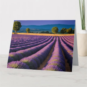 Lavendel Natuur Buitenlandschap Rustig Rustig Kaart