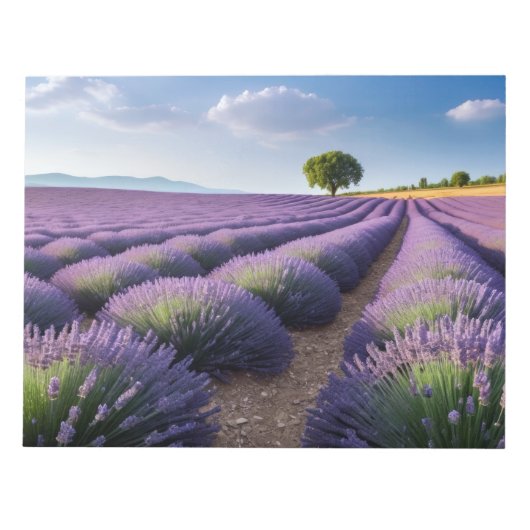 Lavendel Natuur Buitenlandschap Rustig Rustig Notitieblok (Voorkant)