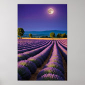 Lavendel Natuur Buitenlandschap Rustig Rustig Poster (Voorkant)