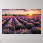 Lavendel Natuur Buitenlandschap Rustig Rustig Poster (Voorkant)