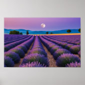 Lavendel Natuur Buitenlandschap Rustig Rustig Poster (Voorkant)