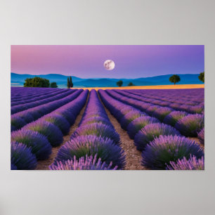 Lavendel Natuur Buitenlandschap Rustig Rustig Poster