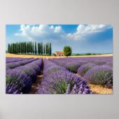 Lavendel Natuur Buitenlandschap Rustig Rustig Poster (Voorkant)