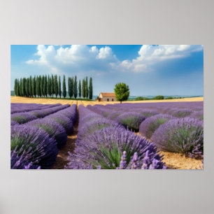 Lavendel Natuur Buitenlandschap Rustig Rustig Poster