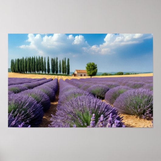 Lavendel Natuur Buitenlandschap Rustig Rustig Poster (Voorkant)