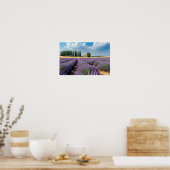 Lavendel Natuur Buitenlandschap Rustig Rustig Poster (Keuken)