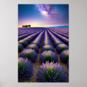 Lavendel Natuur Buitenlandschap Rustig Rustig Poster (Voorkant)