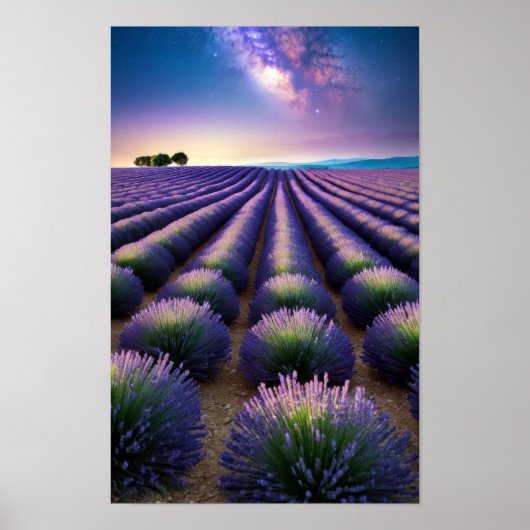 Lavendel Natuur Buitenlandschap Rustig Rustig Poster (Voorkant)