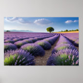 Lavendel Natuur Buitenlandschap Rustig Rustig Poster (Voorkant)