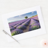 Lavendel Natuur Buitenlandschap Rustig Rustig Rechthoekige Sticker (Envelop)