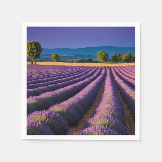Lavendel Natuur Buitenlandschap Rustig Rustig Servet (Voorkant)