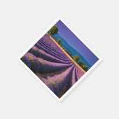 Lavendel Natuur Buitenlandschap Rustig Rustig Servet (Hoek)