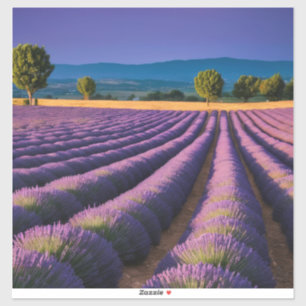 Lavendel Natuur Buitenlandschap Rustig Rustig Sticker